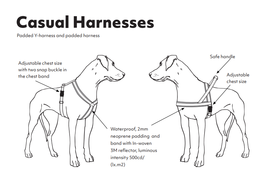 y-harness-info